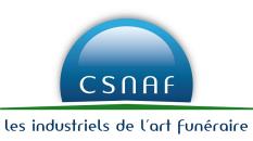 CSNAF